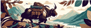Élevage de Yaks au Népal