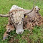 3d15639f-2586-42a1-b634-ab44639ac644