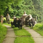 43ddefbe-6006-4dec-811f-808a7760d8c8