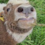 45645d85-d3f5-45f1-80f9-3d506fd26d5b