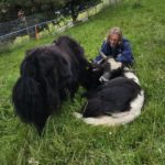 54d64f97-60d9-457a-a518-58f2879c63fc