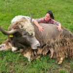 6bec48da-0cf9-430a-8256-f1ba967b62db