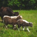 770de31c-1fc0-4378-a230-7e18d0b3a6a2