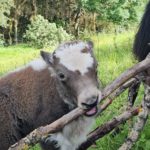 8e2514c8-436d-4c9f-aa6a-ebff5c8f329f