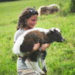 8fde8006-e96f-4c2e-875f-33d445e5037a