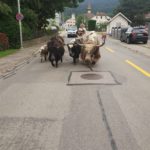 Activité Neuchâtel